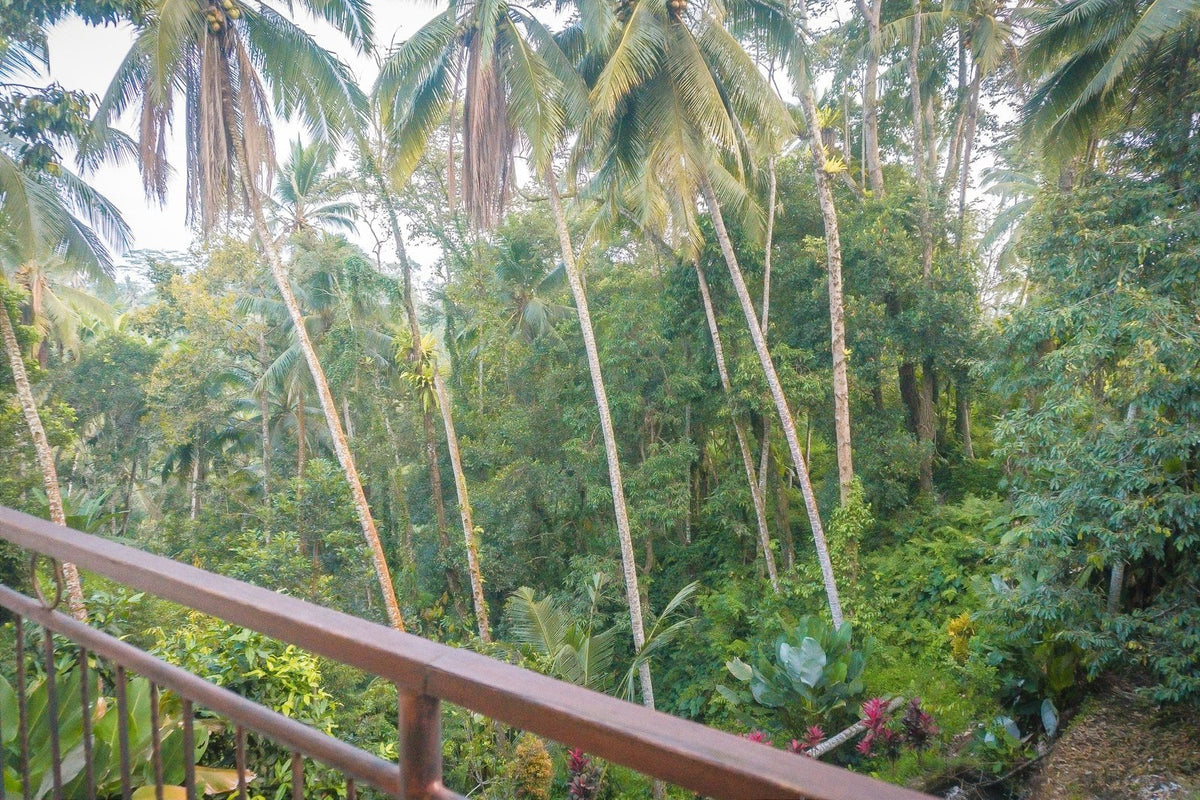 Twin Suite - Bali Fire Dance Retreat 2027