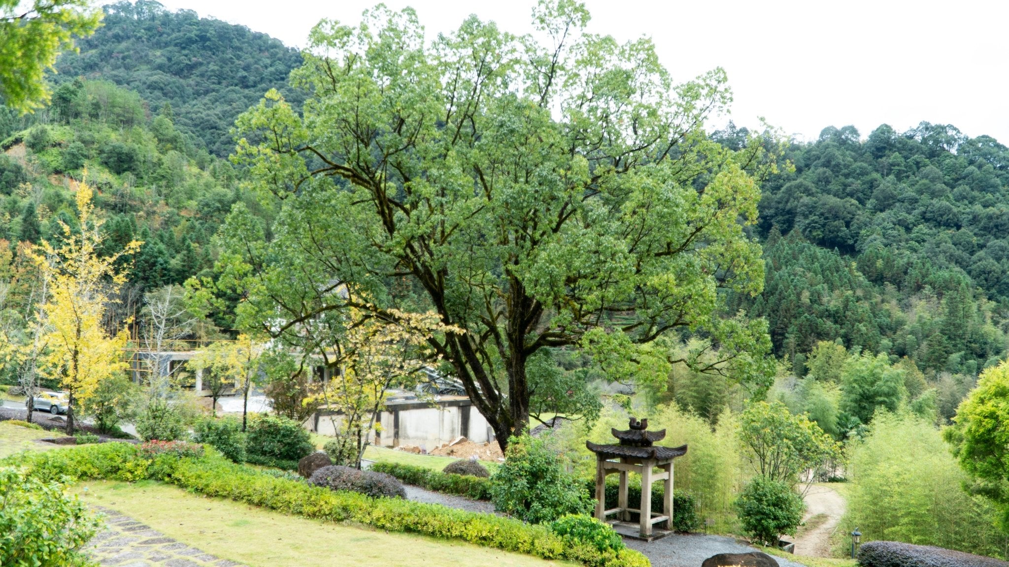 TENT SPOT - China Flow Retreat - Deposit